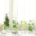 Tall clear cylinder vase candle holder for home